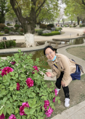 苏红
